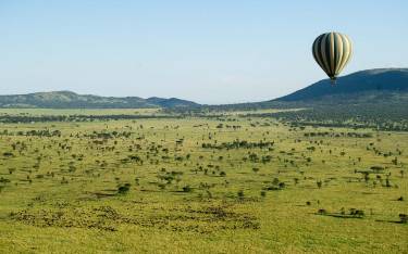 The wildebeest migration seen on a hot-air balloon safari