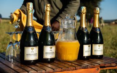 Champagne toast after a hot-air balloon safari