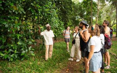 Guide showing jackfruit on a spice farm tour