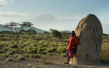 Maasai man resting against a termite mound with Mt Kilimanjaro in background