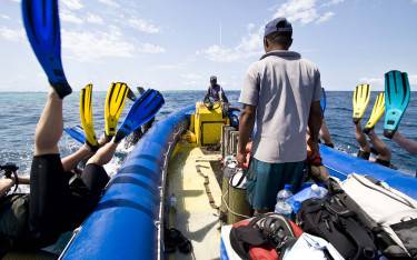 Divers jumping into the sea