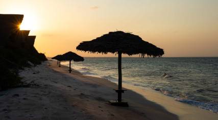 Beach umbrellas