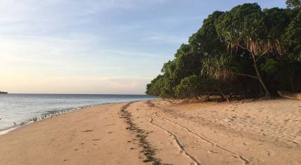 Sandy beach