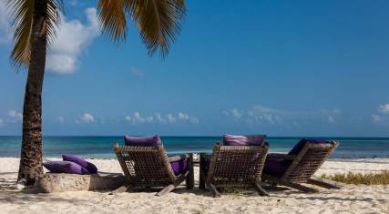 Loungers on the beach