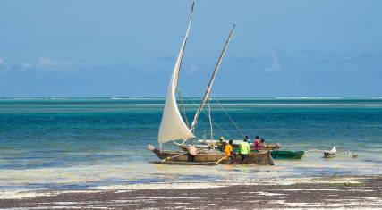 Dhows at Kiwengwa Beach