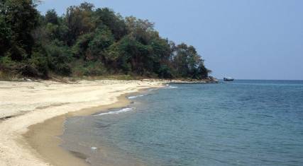 Shore of Lake Tanganyika