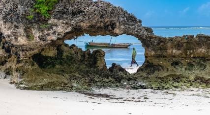 Coral outcrops on the beach