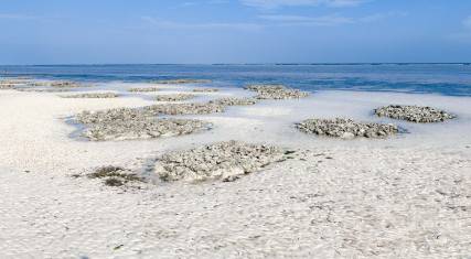 Beach at low tide