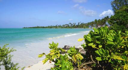 Beach scene