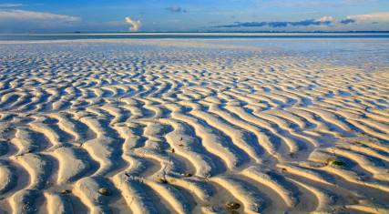Tidal flats