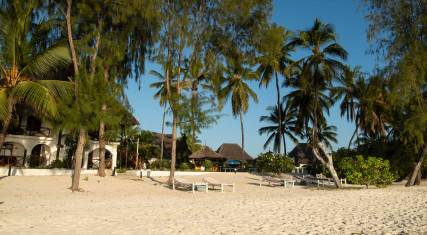Palm-lined beach
