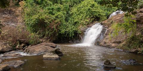 4-Day Mtae to Mazumbai Forest Adventure