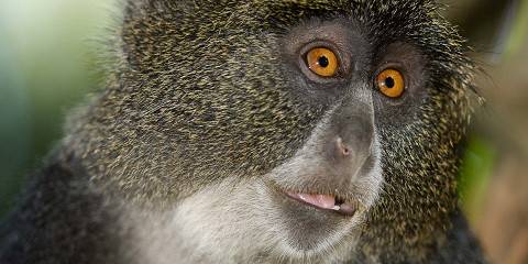 Culture and Wild Safari Tanzania