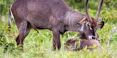 3-Day Manyara, Crater View & Tarangire Luxury Safari