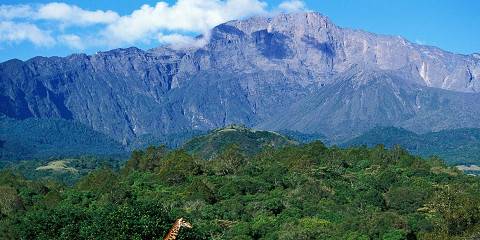 1-Day A Walking Safari in Arusha National Park