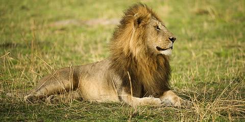 3-Day Safari Fly Zanz to Tarangire Ngorongoro & Manyara