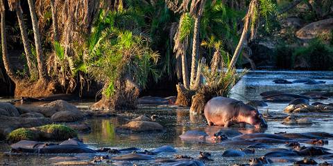 3-Day Magical Serengeti and Ngorongoro Safari