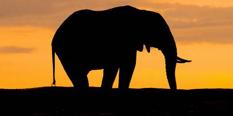 12-Day Premium Luxury Safari&Beach Holidays All Inclusive