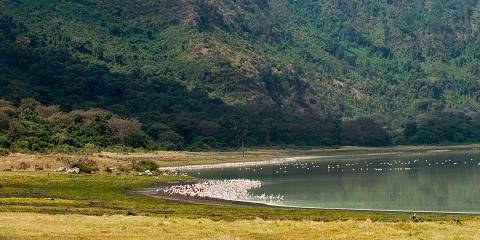 2-Day Ngorongoro Crater & Foothills Mt Kilimanjaro