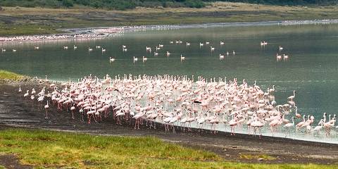 3-Day Tanzania Wildlife & Culture Tour