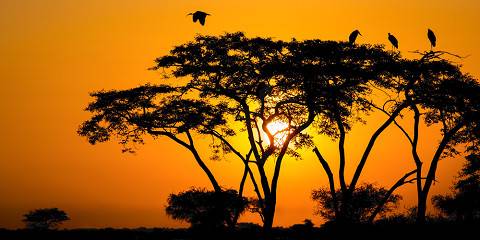17-Day Ultimate Wildlife, Culture Mid-Range Safari