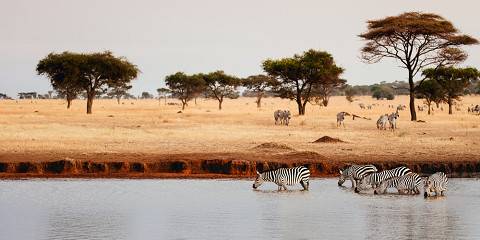 4-Day Manyara Ngorongoro Serengeti and Tarangire