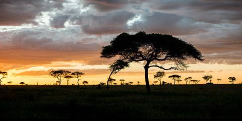 11-Day Rift Valley Trek & Serengeti Trails