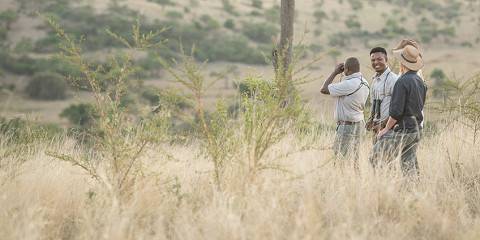 4-Day Short Safari with Guided Nature Walk Extension