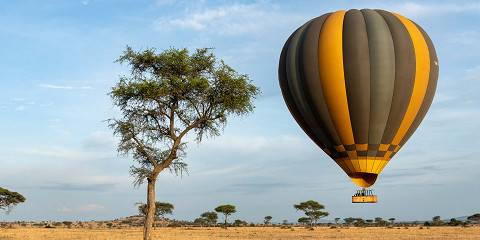 5-Day Calving Season Honeymoon Safari &Balloon Adventure