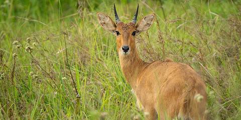 4-Day Tanzania Northern Safari