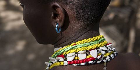 4-Day Incredible Wildlife & Cultural Safari Experience