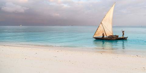 7-Day Incredible Safari & Beach Tanzania Honeymoon