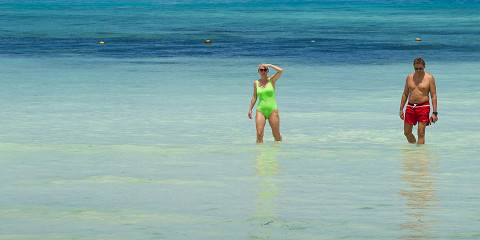 10-Day Luxury Honeymoon Safari & Zanzibar Beach Relaxing