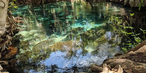 1-Day Materuni Waterfalls & Chemka Hot Springs Trip