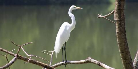 Best Adventure - Fly in Safari Zanzibar to Nyerere