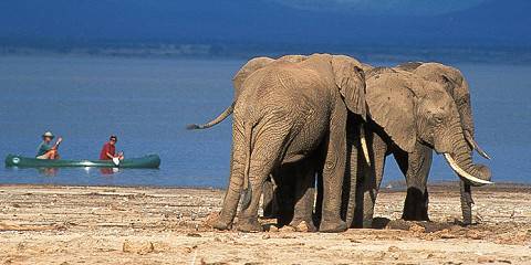 Fly - in Zanzibar to Northern Circuit Safari