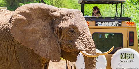Beautiful Private Safari to Tarangire & Ngorongoro