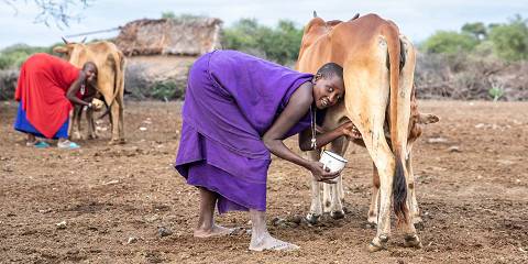 Maasai Village Experience Trip with Dallas