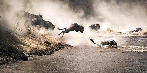4-Day The Big 5 Luxury Roaming Nakuru NP to Maasai Mara