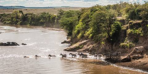 6-Day Maasai Mara National Reserve, Mombasa