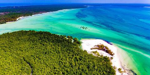 3-Day Flying Safari from Zanzibar-Arusha to Serengeti