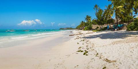 8-Day Luxury Safari to Tanzania and Zanzibar Beach