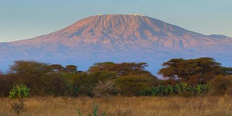 8-Day Kilimanjaro "Whiskey Route" Machame Route