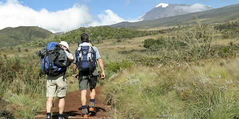 5-Day Kilimanjaro Climb Marangu Route