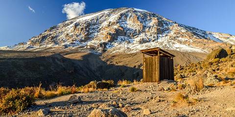 8-Day The Ascent of Kilimanjaro - Machame Road