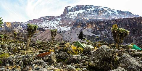 Rongai - Kilimanjaro Climbing