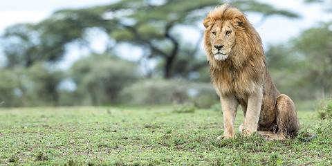 7-Day The Great East African Safari