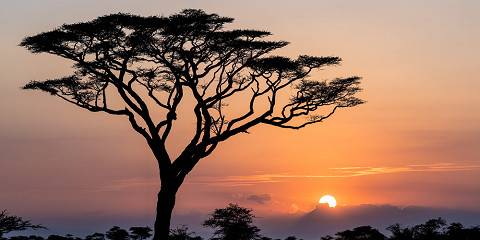 7-Day Wonders of Tanzania - Safari Under the Canvas