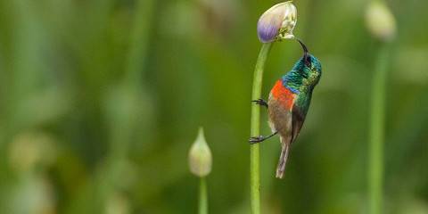 5-Day Tanzania Unlimited Experience