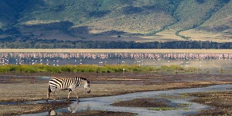 4-Day Midrange Safari Serengeti, Ngorongoro & Tarangire